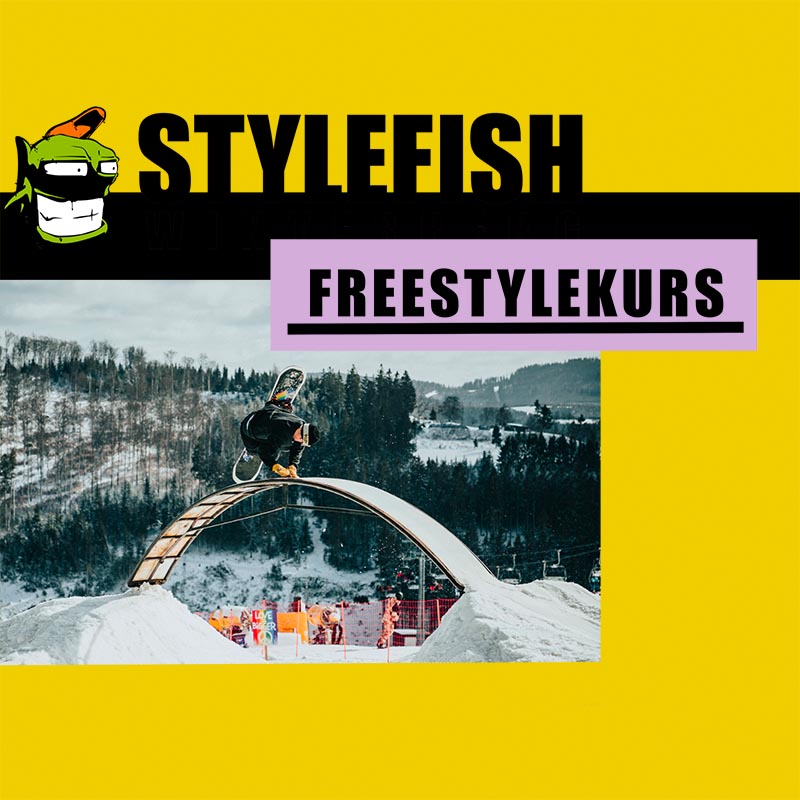 Freestyle beginner course